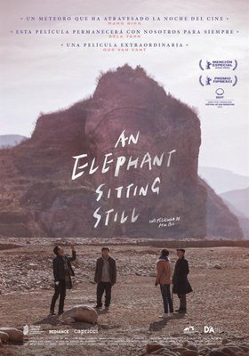 An Elephant Sitting Still An Elephant Sitting Still