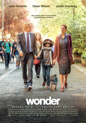 Wonder Wonder