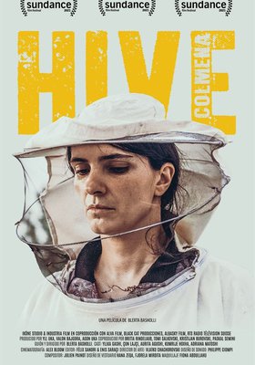 Hive (Colmena) Hive (Colmena)