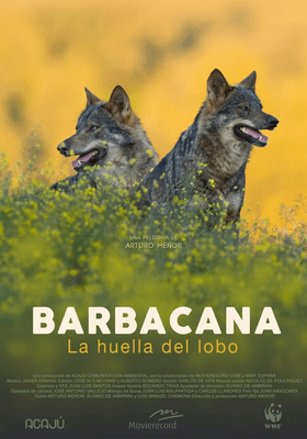 Barbacana, la huella del lobo Barbacana, la huella del lobo