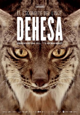 Dehesa, el bosque del lince ibérico Dehesa, el bosque del lince ibérico