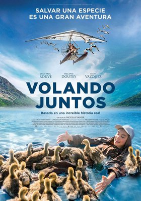 Volando juntos Volando juntos