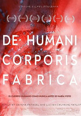 De humani corporis fabrica