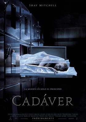 Cadáver Cadáver