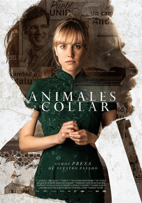 Animales sin collar Animales sin collar