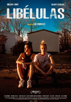 Libélulas Libélulas