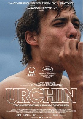 Urchin