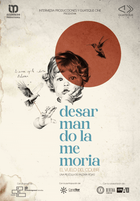 DESARMANDO LA MEMORIA