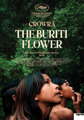 La flor del Burití La flor del Burití