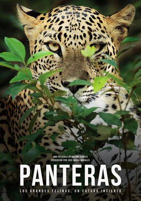 Panteras Panteras